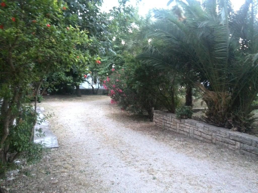 ביוגראד נה מורו Apartment Tome חדר תמונה